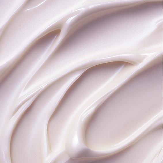 Not So Basic Bonitas Pack of 4